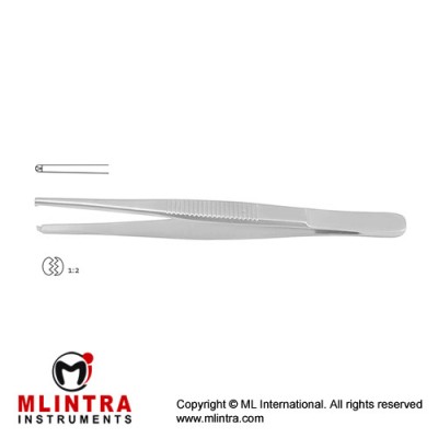 Standard Pattern Dissecting Forcep 1 x 2 Teeth Stainless Steel, 10.5 cm - 4 1/4"